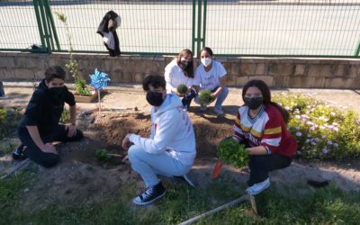 Proyecto Erasmus+ «Jardín Ecológico» para los alumnos de 3º de ESO