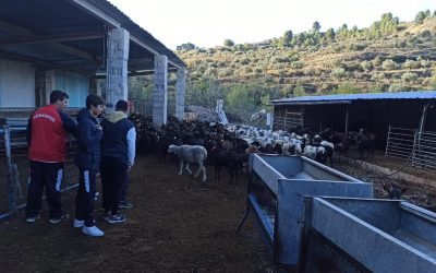 Els alumnes de 3er. ESO coneixen la ramaderia tradicional