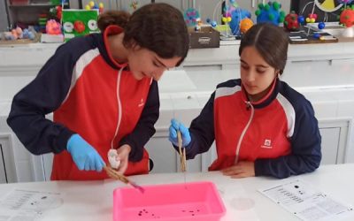 Investigació al laboratori