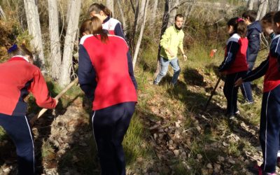 1ºESO participa en la repoblación de chopos en el Racó de Santbonaventura