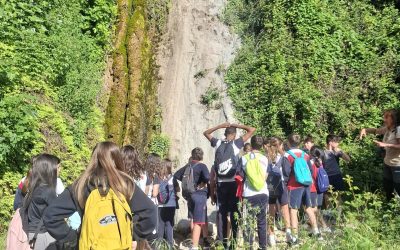 Excursión al Barranc del Cint: naturaleza, juegos y aprendizaje para 1º de ESO